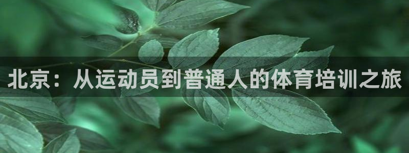 d88尊龙z6