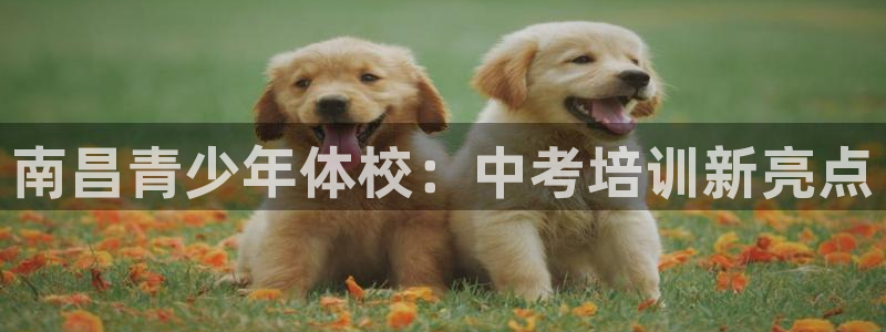 凯时平台app