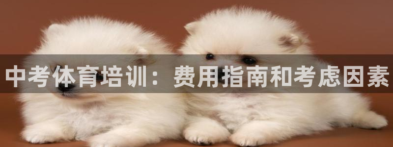 尊龙d88现金关注ag发财网：中考体育培训：费用指南和考虑因