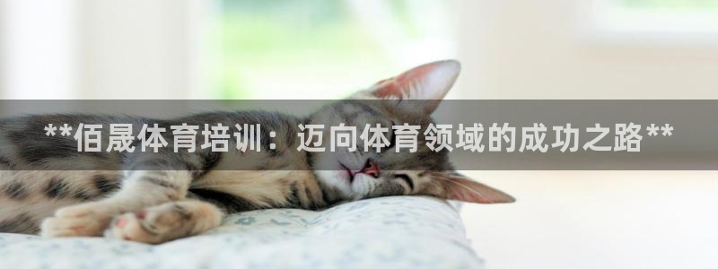 国际凯时ag优质运营商：**佰晟体育培训：迈向体育领域的成功