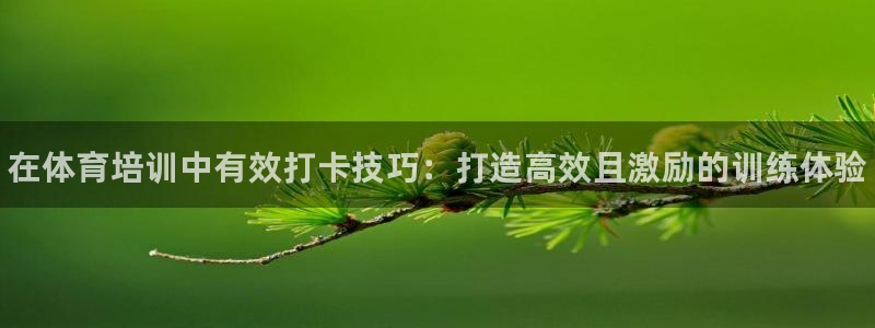 尊龙/人生就是博：在体育培训中有效打卡技巧：打造高效