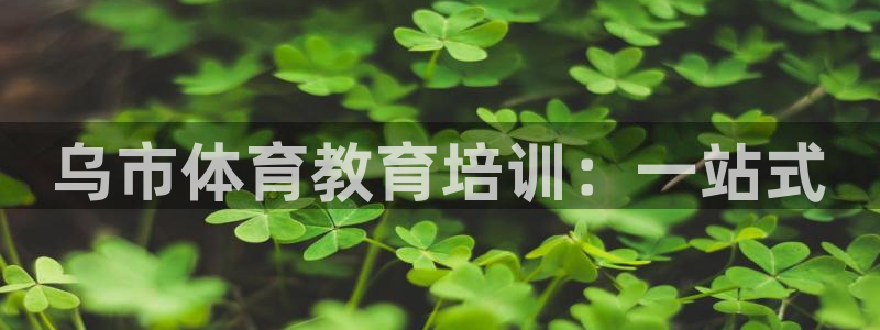 凯时平台app：乌市体育教育培训：一站式