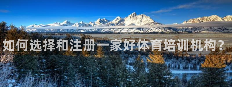 ag尊龙凯时集团：如何选择和注册一家好体育培训机构？