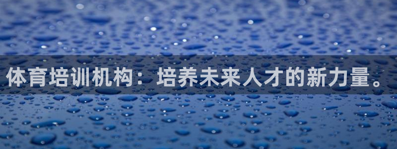 尊龙这个平台怎么样：体育培训机构：培养未来人才的新力