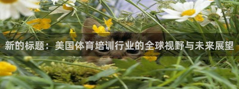 尊龙集团有限公司是国企吗：新的标题：美国体育培训行业的全球视