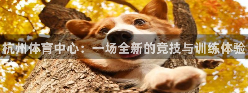 尊龙凯时ag旗舰厅官：杭州体育中心：一场全新的竞技与