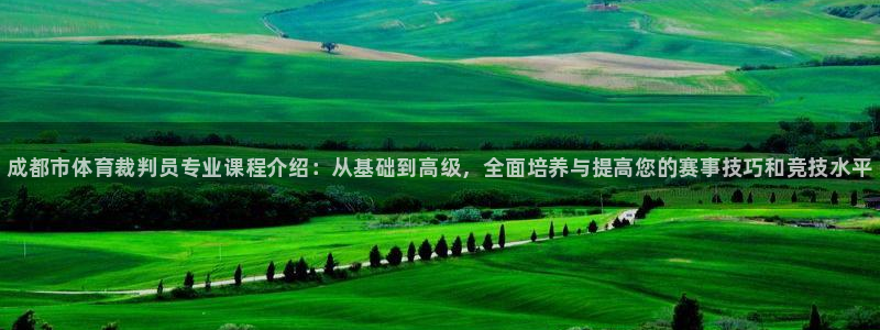 凯时登录首页,凯时K66：成都市体育裁判员专业课程介绍：从基